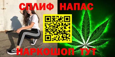 ешки Будённовск