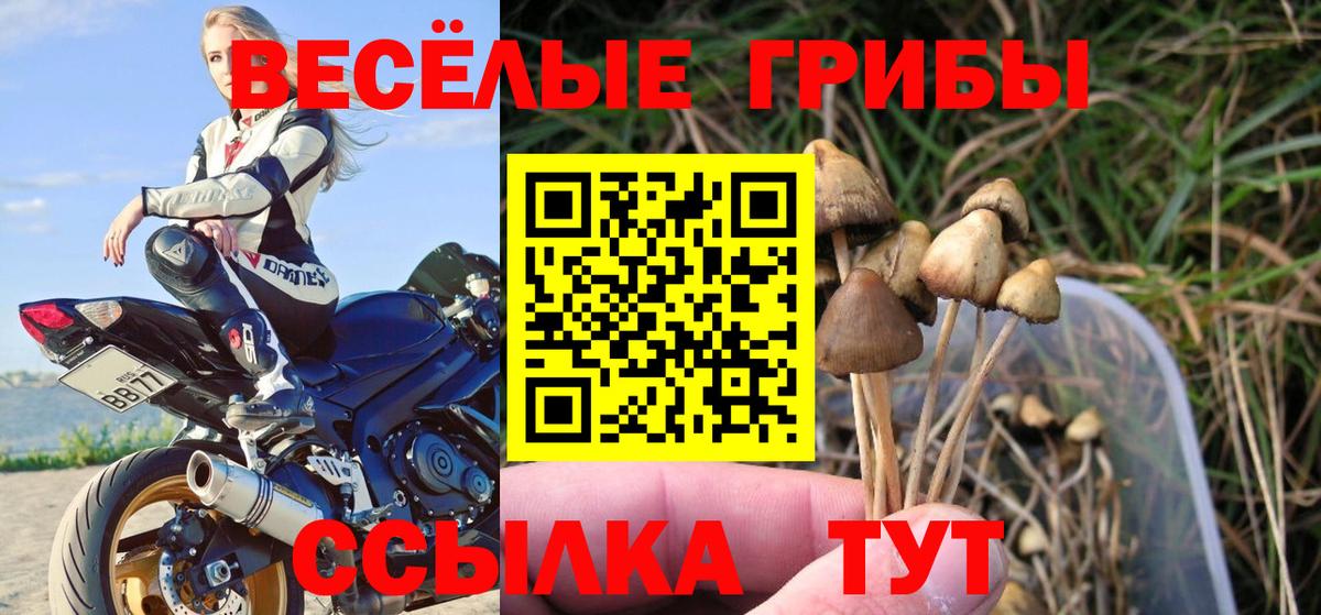 Псилоцибиновые грибы прущие грибы Нововоронеж