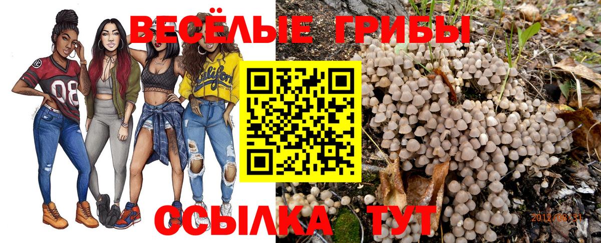 Нововоронеж  Галлюциногенные грибы Psilocybe  Вход с VPN  Галлюциногенные грибы Magic Shrooms 